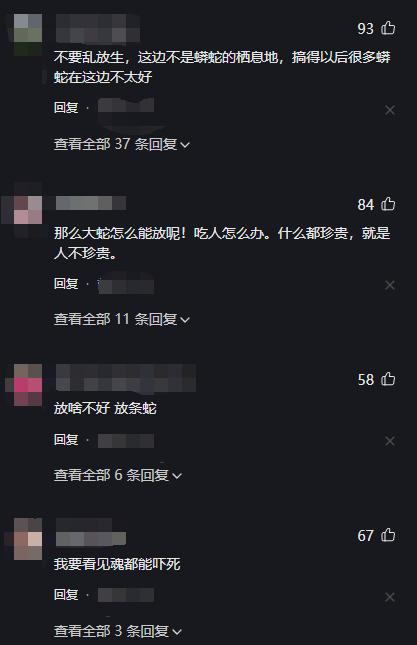 男子扫墓遇见大蛇熊猫头,男子扫墓时遇见鳄鱼蛇王