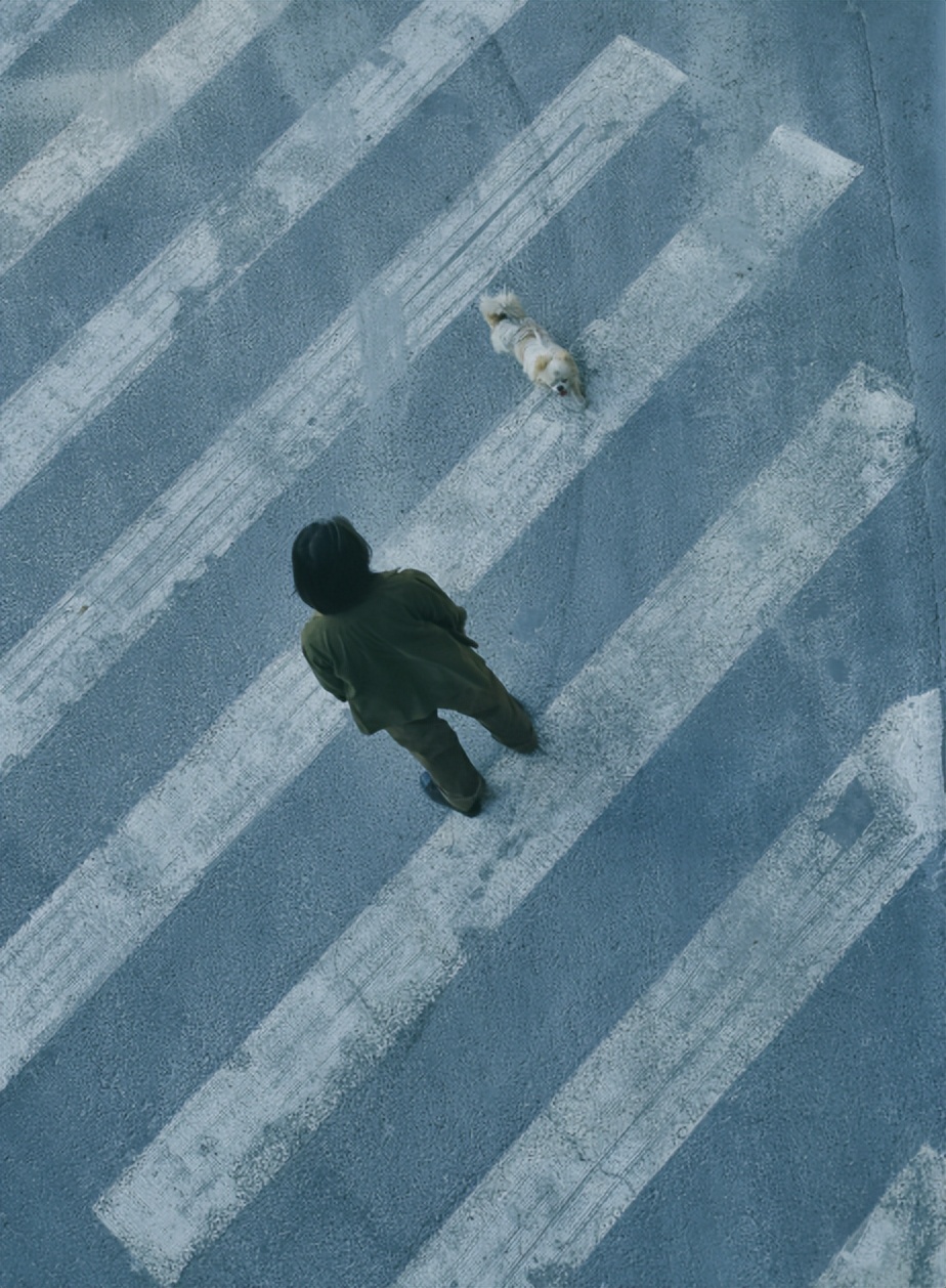 鍞辨瓕绗戝満閫椾箰璇勫,鍞辨瓕閫楃瑧璇勫