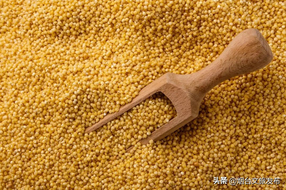 烟台旅游十大必去景点招远,招远黄金节值得去吗