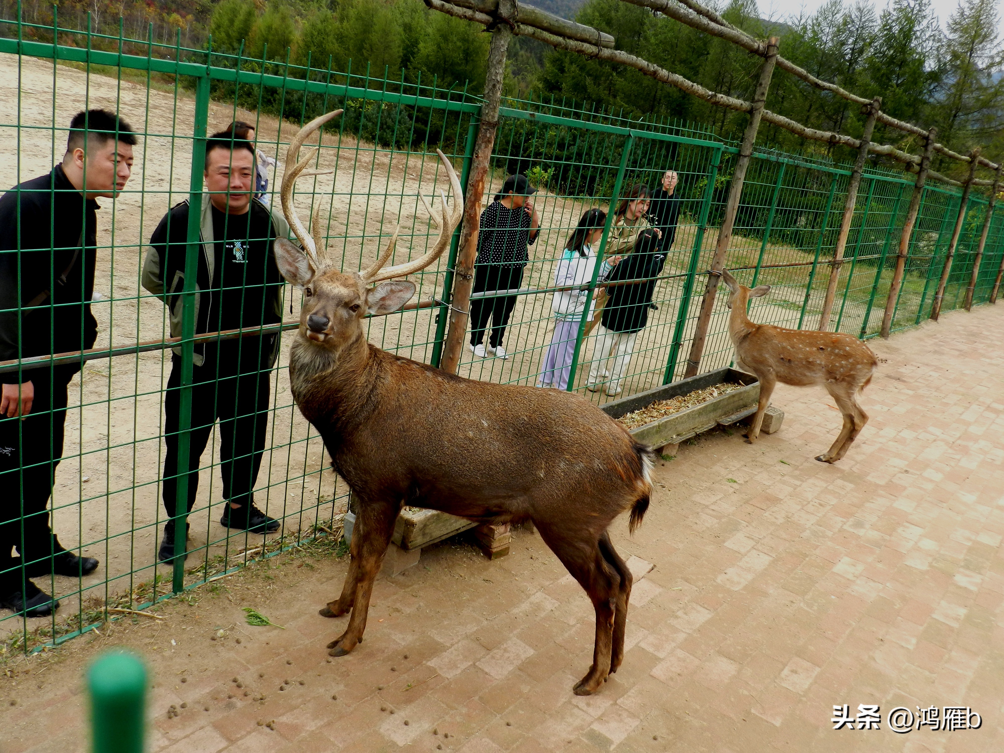 本溪温泉汤沟门票价格,本溪花溪沐枫雪温泉小镇