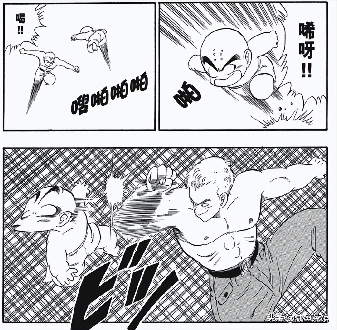 龙珠中十大最强地球人,龙珠里真正地球人战力排行