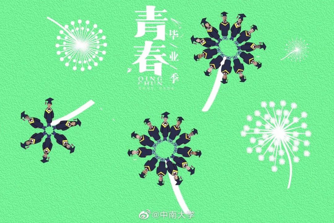 高能电影乘风破浪,毕业照高能