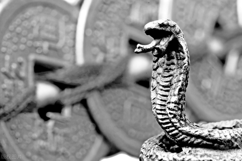 梦里梦到蛇意味着什么,在梦里梦到蛇是预示什么