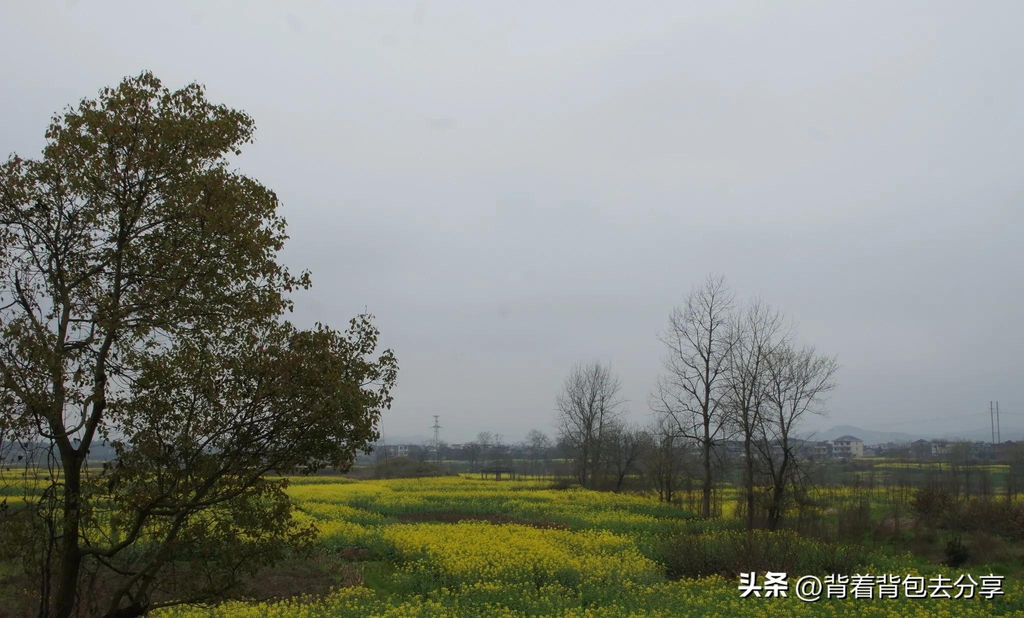 湖南十大风景景区,湖南十大最值得去旅游景点