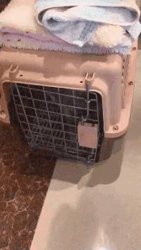 微信键盘智能输入法,pc端微信输入法好用吗