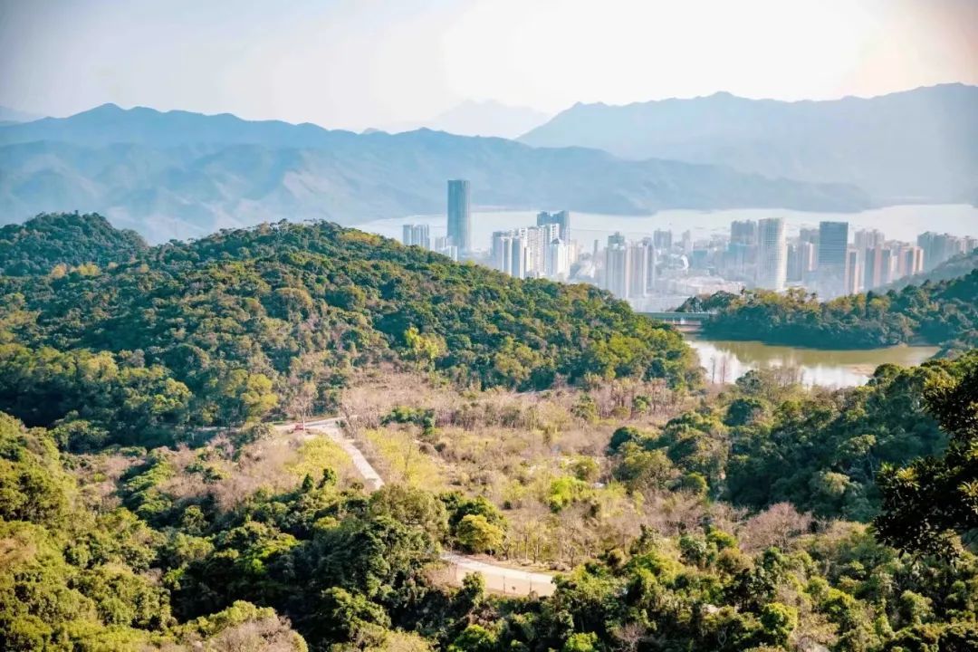 深圳盐田利好,深圳盐田健康产业好做吗