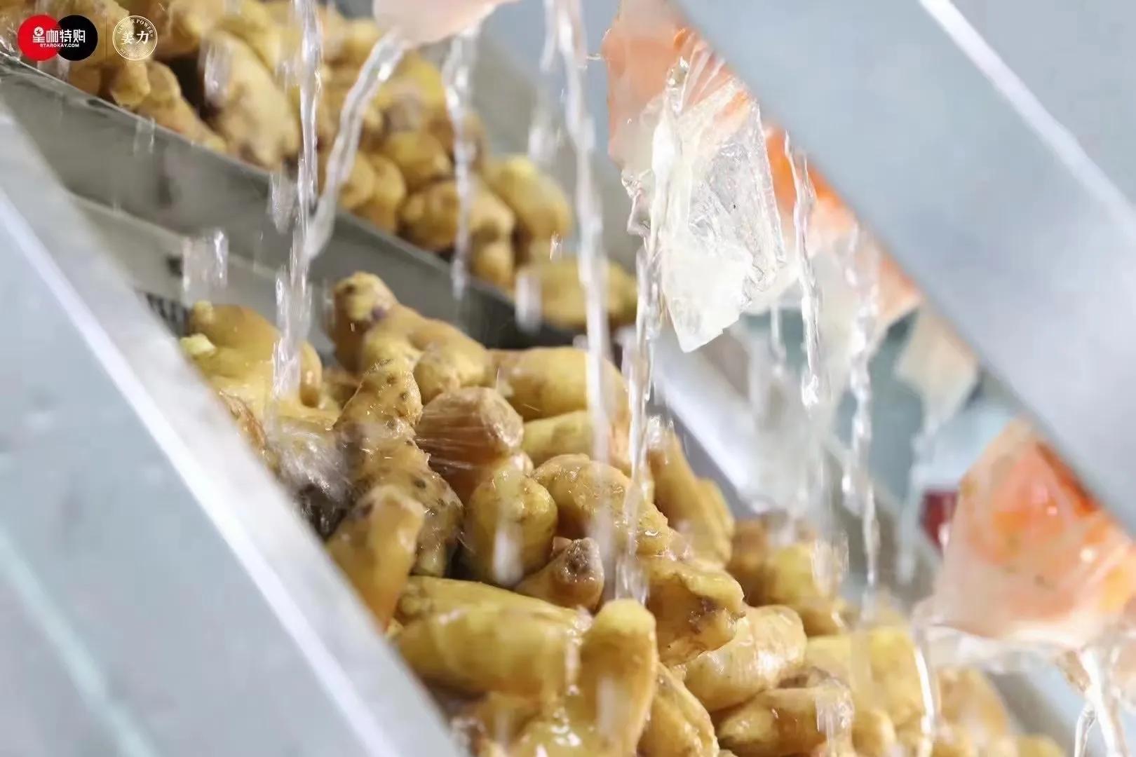 姜力洗发水代理利润,姜力洗发水招商