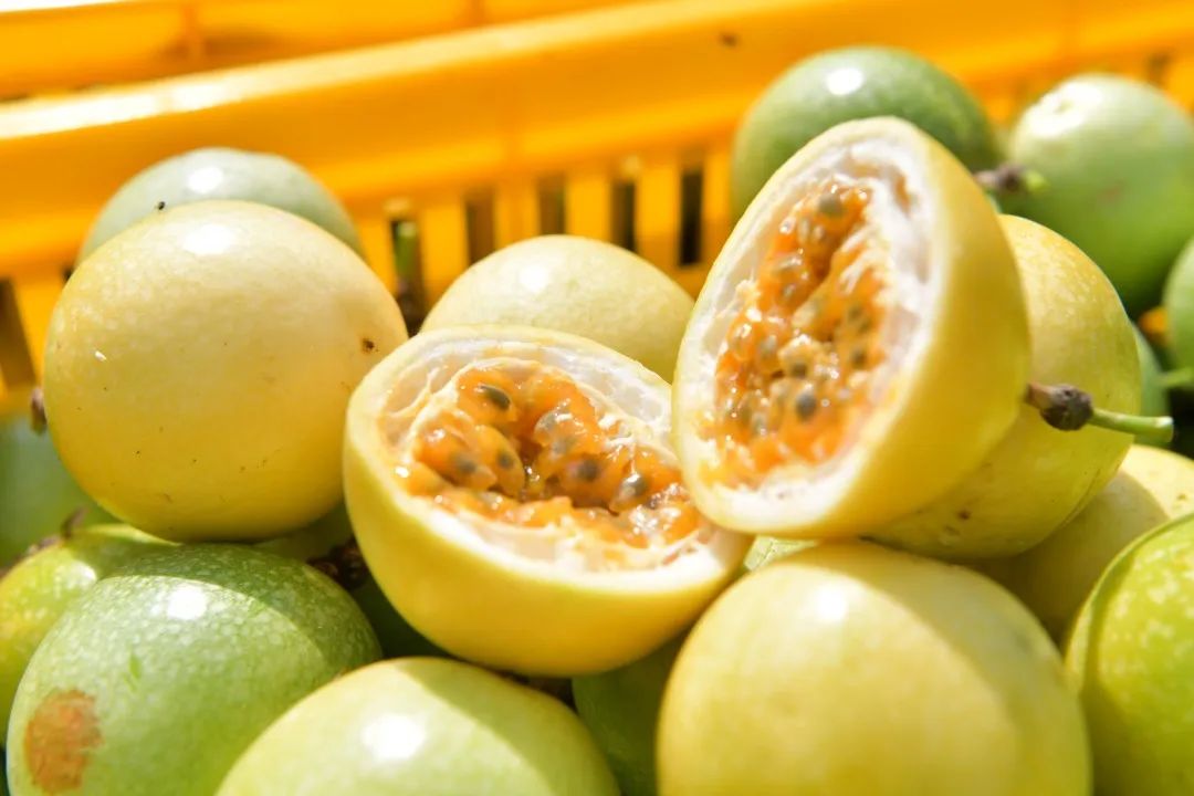 夏天解暑喝什么饮料最好,夏天喝哪些饮料解渴呢