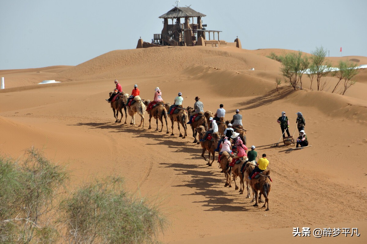 中卫市沙坡头景区,沙坡头旅游景区是5a级吗
