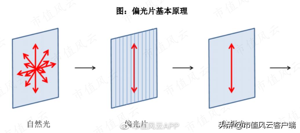 没钱也要扩产能！账上现金仅7亿，三利谱再抛百亿偏光片投资计划