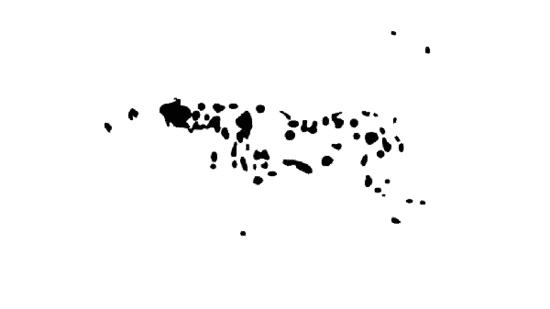创新思维与科学决策,系统思维与科学决策