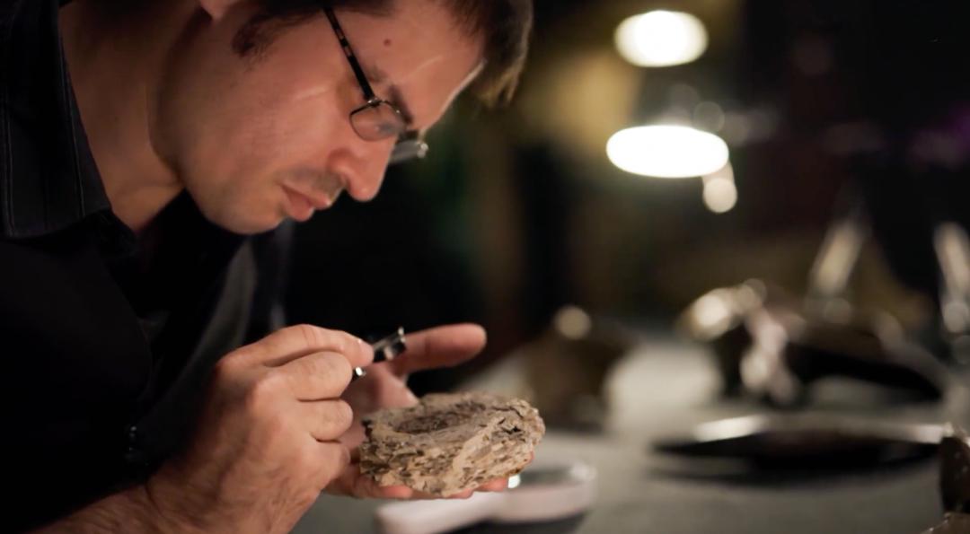 2022年十大必看大片,2022年最震撼视频