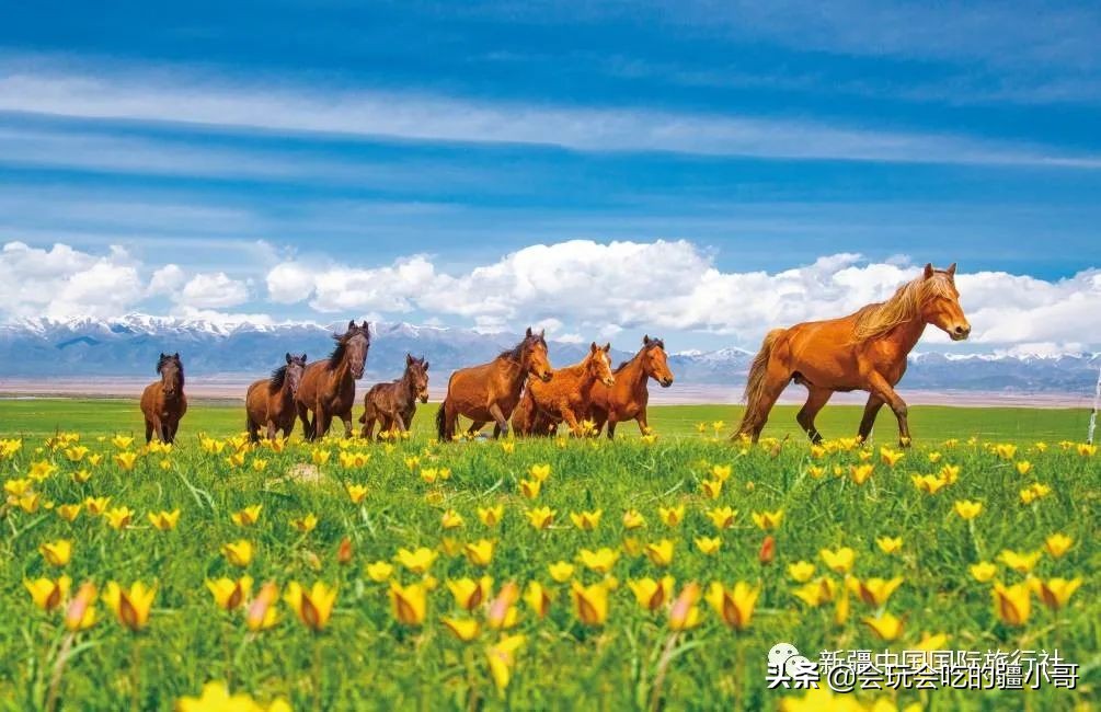 新疆南疆最有必要去的旅游胜地,新疆唯一没有戈壁的县