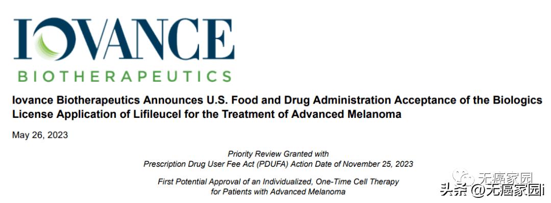 用免疫细胞杀灭癌症！TILs疗法打破实体瘤治疗瓶颈，有望年底上市