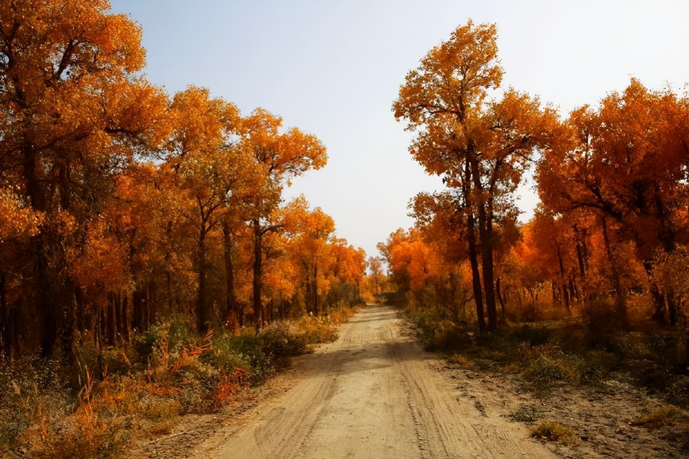 环游新疆15天,环游南疆8天攻略