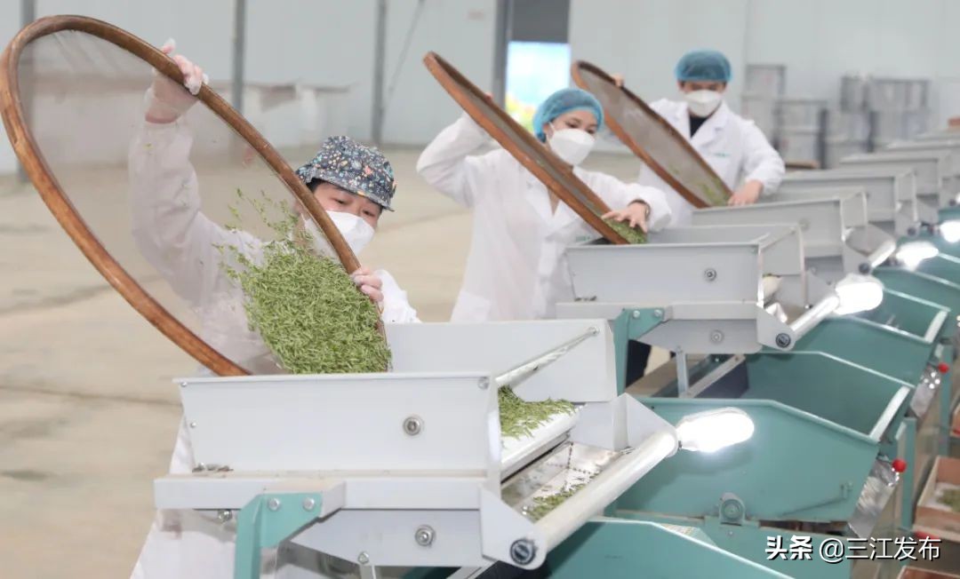 南国今报创作,南国今报紫荆花盛典