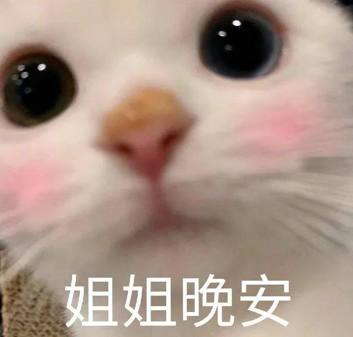 轻轻敲醒沉睡的心灵表情包高清,轻轻敲醒沉睡的心灵表情包