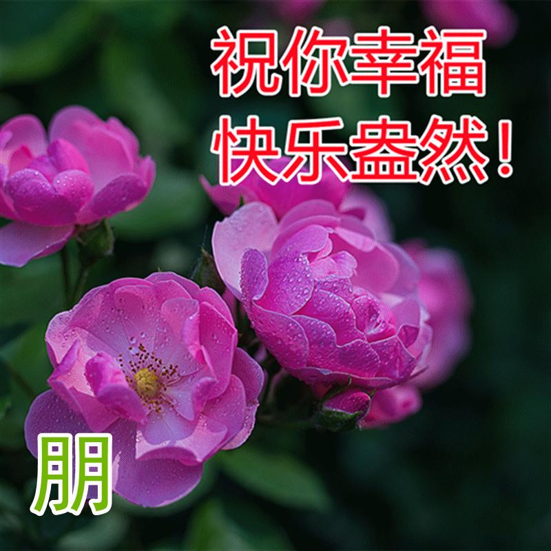 最漂亮的早安祝福图片和问候语 (2023年6月18日早上好祝福图片)