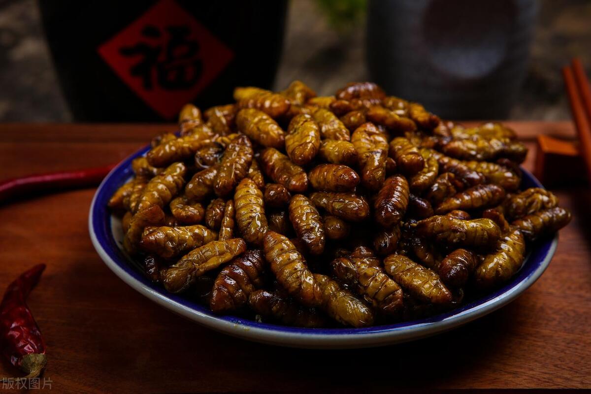 盘点十大虫子美食,广东特色美食竹虫