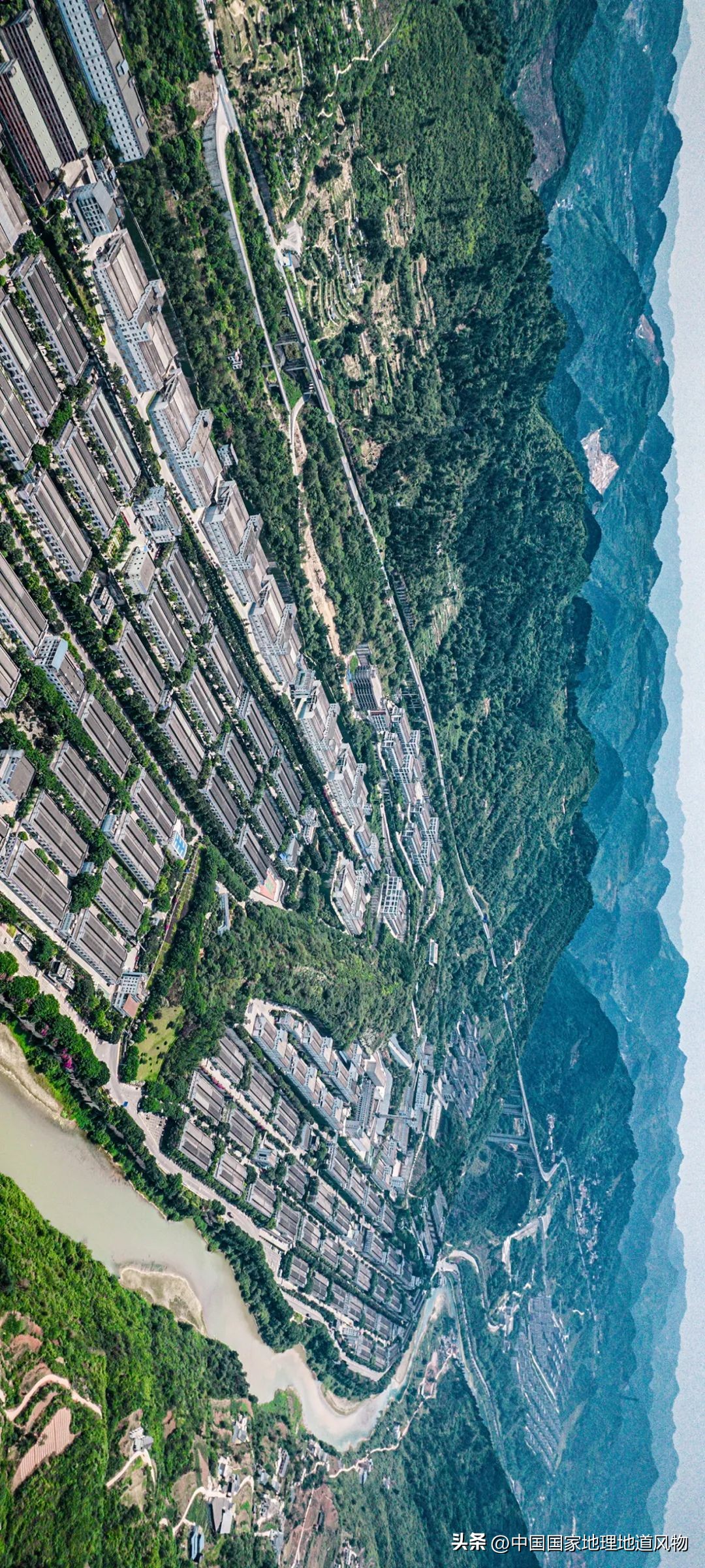 茅台酒的味道是香精调出来的吗,茅台酒的酱香是什么酱