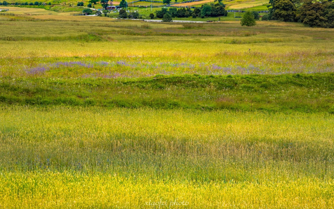 318来回攻略十三天,天路之旅西藏完整版