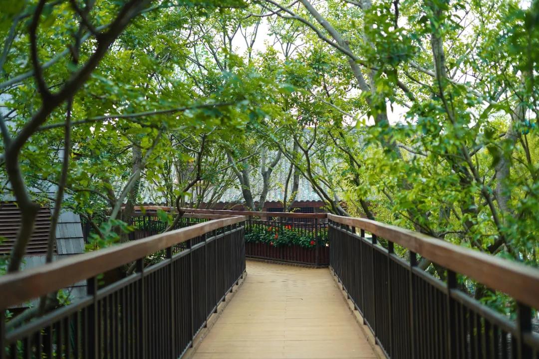 小精灵同款树屋绝了!遛娃的秘密基地,诗境家园里的度假圣地