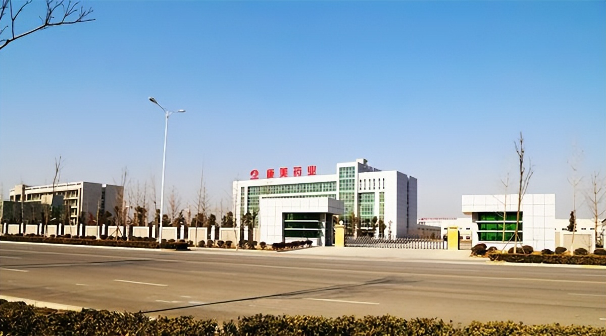 康美药业财务造假股民能追回吗,a股财务造假公司名单康美