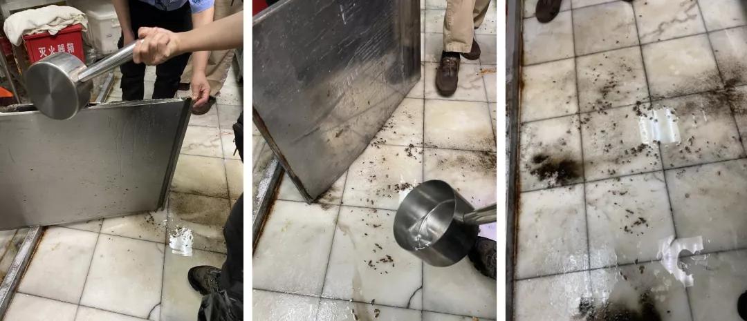 餐饮有虫子蟑螂怎么办,餐厅有大量蟑螂怎么彻底消灭