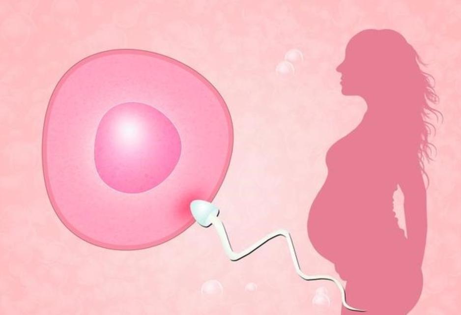 24岁姑娘丧失生育能力,24岁女孩失去了生育