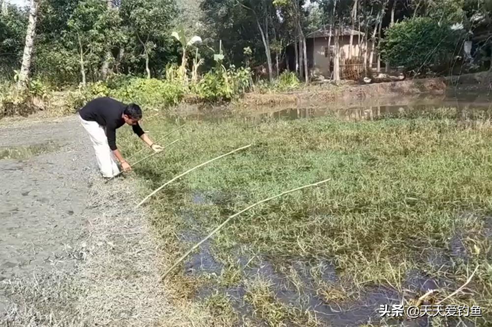 夜钓黄颡鱼，用3种民间钓法，简单实用好掌握，收获更有保证