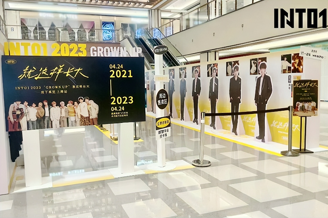 爱豆未来发展趋势,爱豆的发展前景好吗