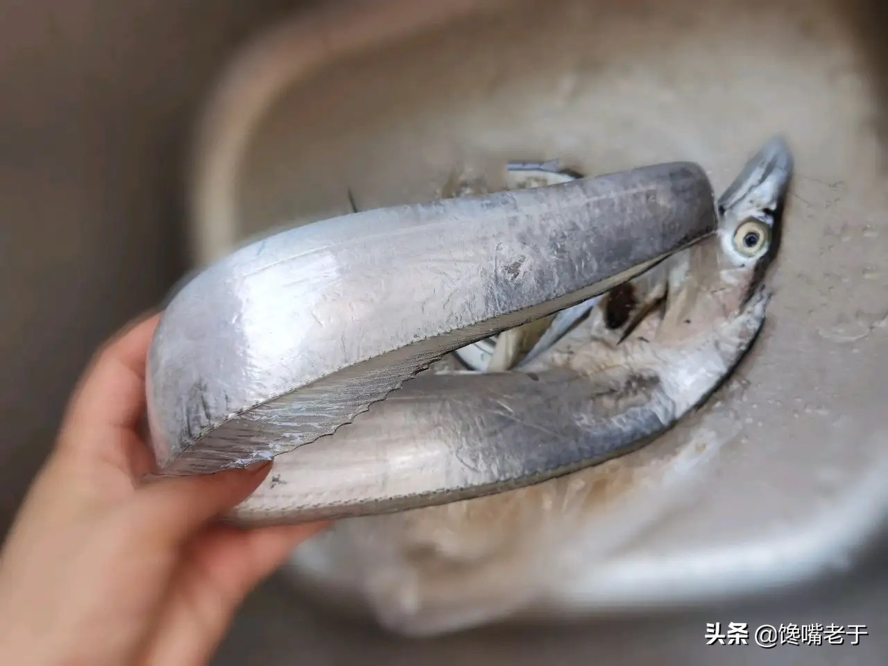 三种带鱼不要买,带鱼能不能随便买