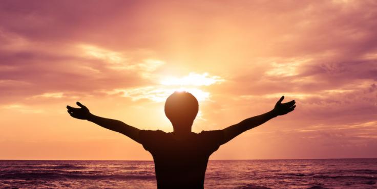 是谁在撩拨我的好奇心,是谁在撩动琴弦