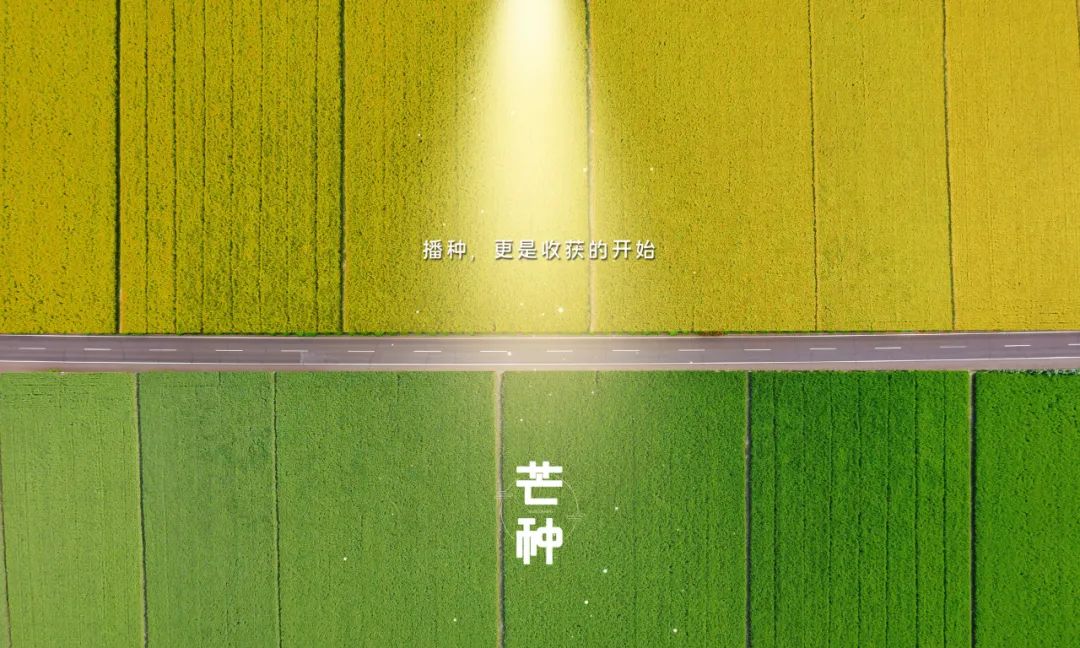 关于芒种的诗句的短视频,芒种原创古诗视频