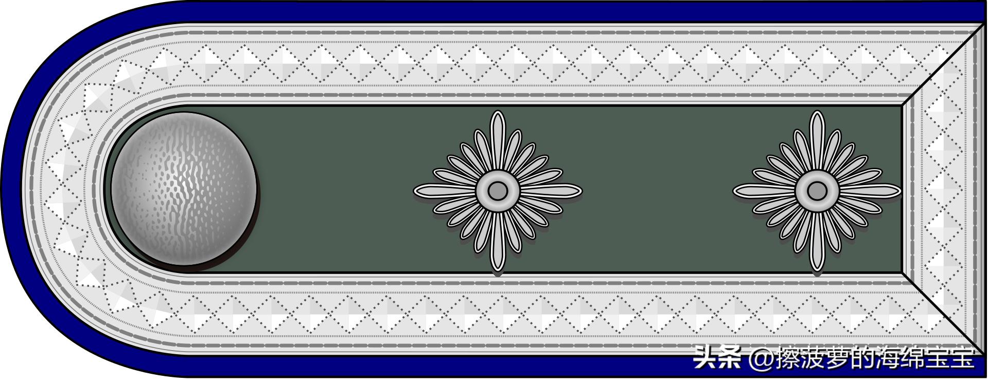 二战德国国防军医疗兵军衔标志