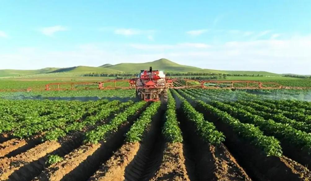 日本人在山东租了1500亩地,日本人在山东租地1500亩现状