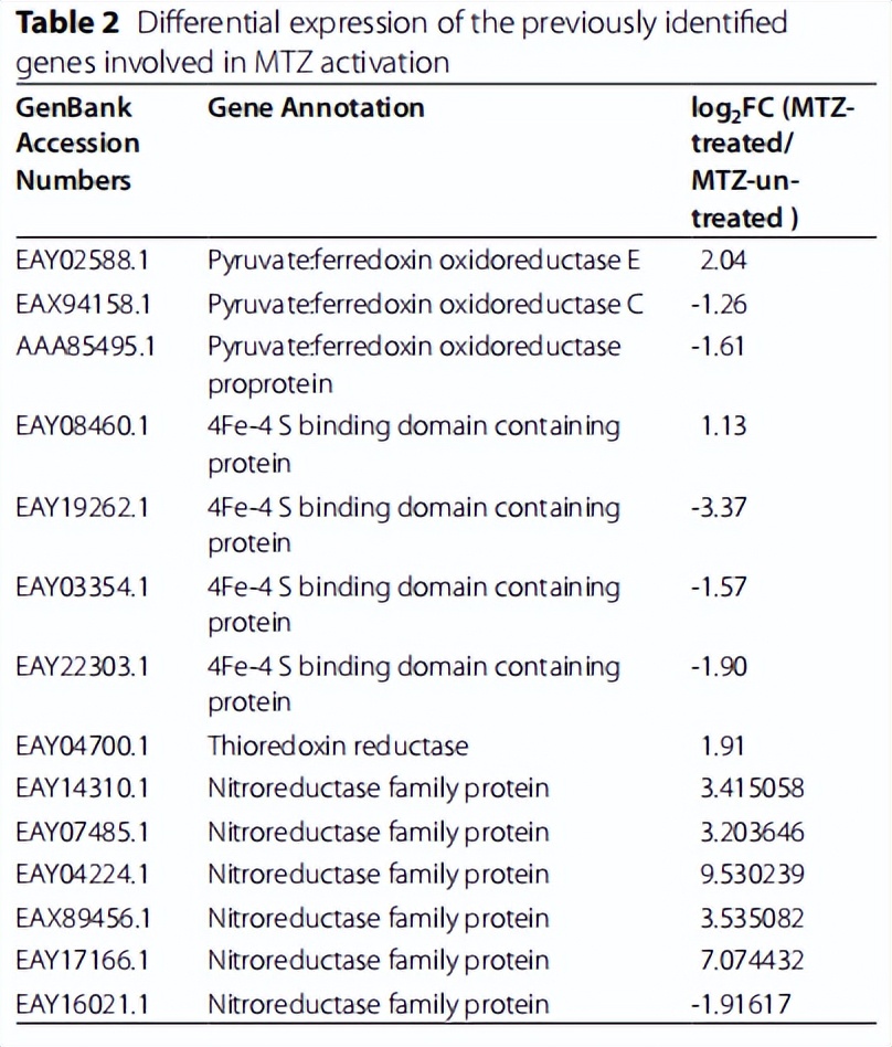 毛滴虫性妇科炎症甲硝唑,治毛滴虫用甲硝唑好还是替硝唑好