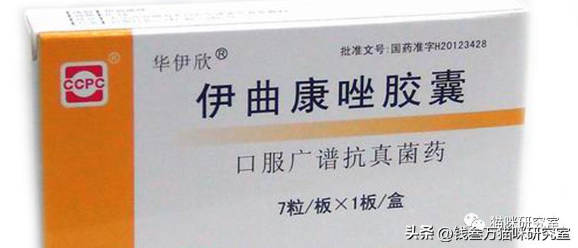 伊曲康唑为什么买不到了,伊曲康唑买不到怎么办