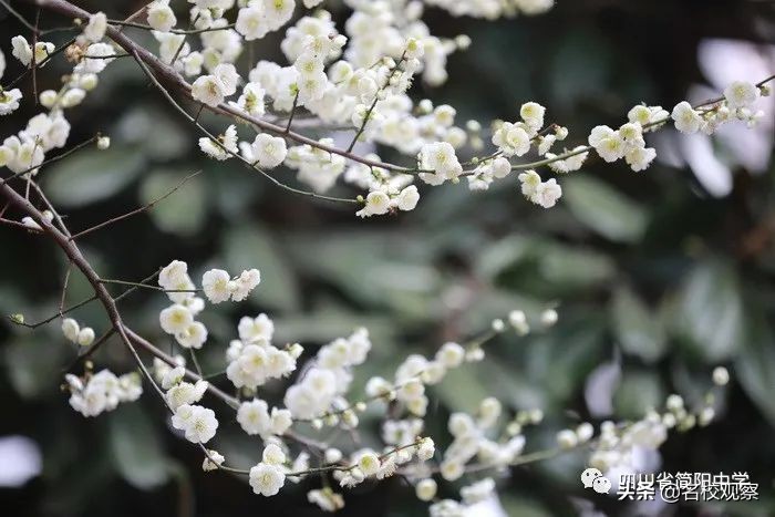 2021高考物理满分学霸,高考满分物理学霸笔记曝光