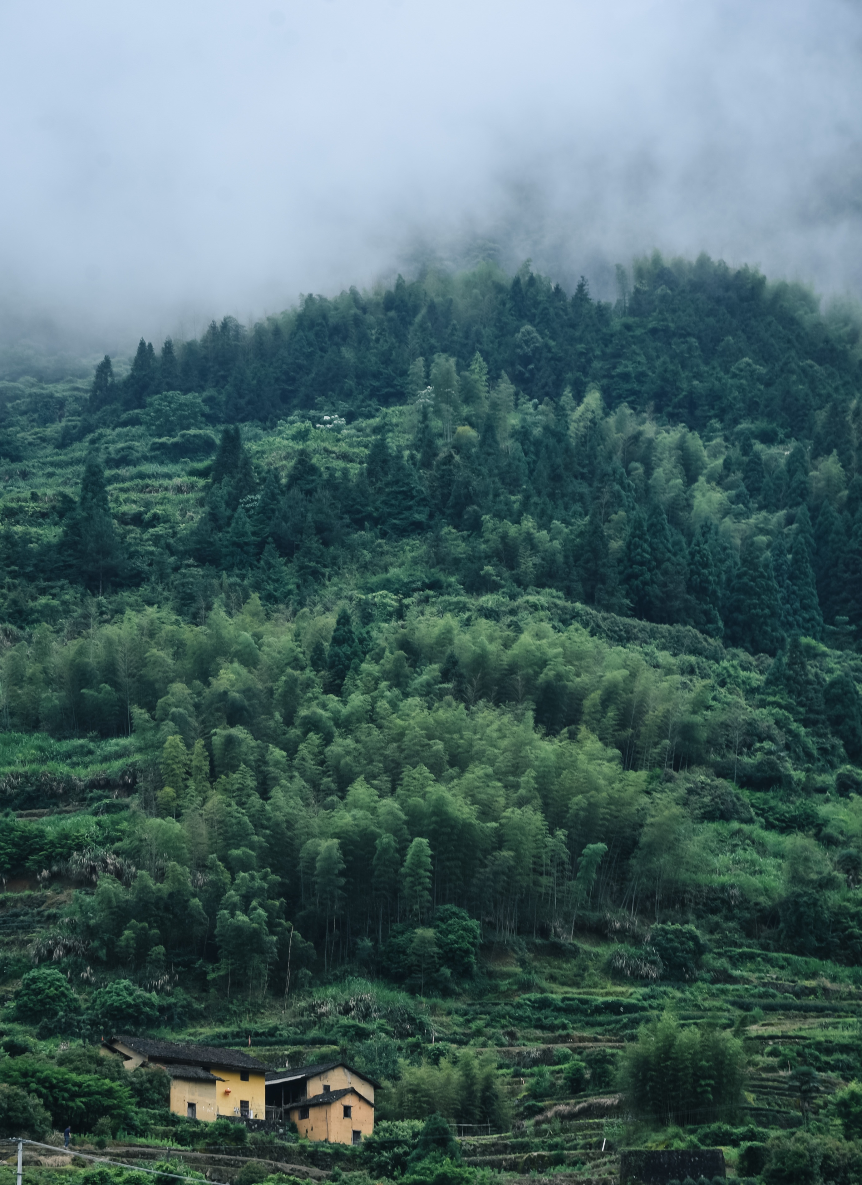 丽水遂昌旅游攻略一天游 (丽水遂昌被称旅游胜地)