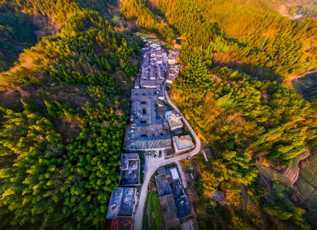 跟着chatgpt学习,跟着chatGPT学知识