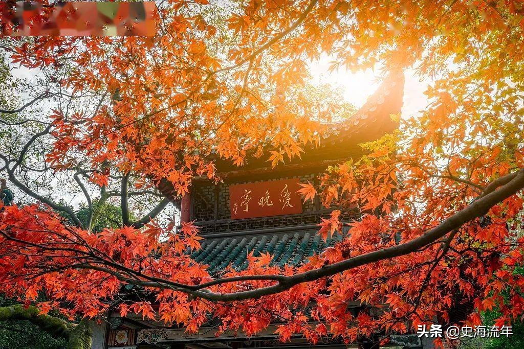 速看哪些985和211在增加招生计划,2024全国985招生计划