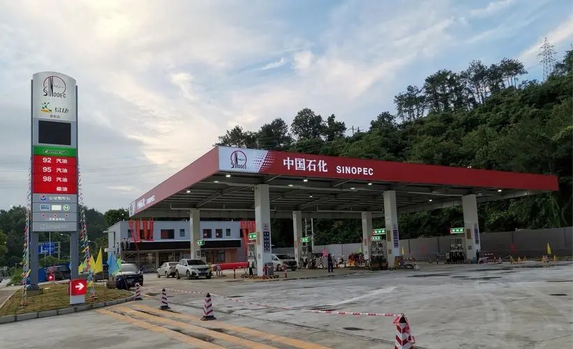 小说站长最后结局,小说站长