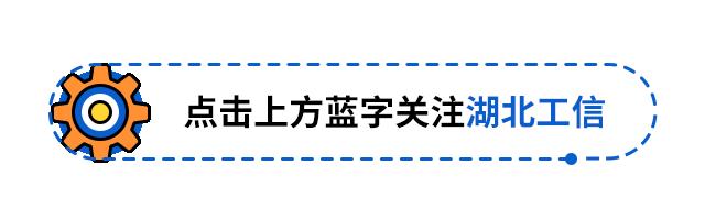 专精特新小巨人企业武汉,湖北省专精特新小巨人企业名单