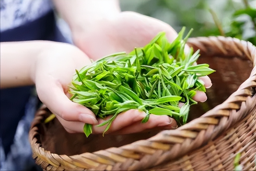 网上买茶和实体店买茶哪个好,网上买茶的正确方法和注意事项