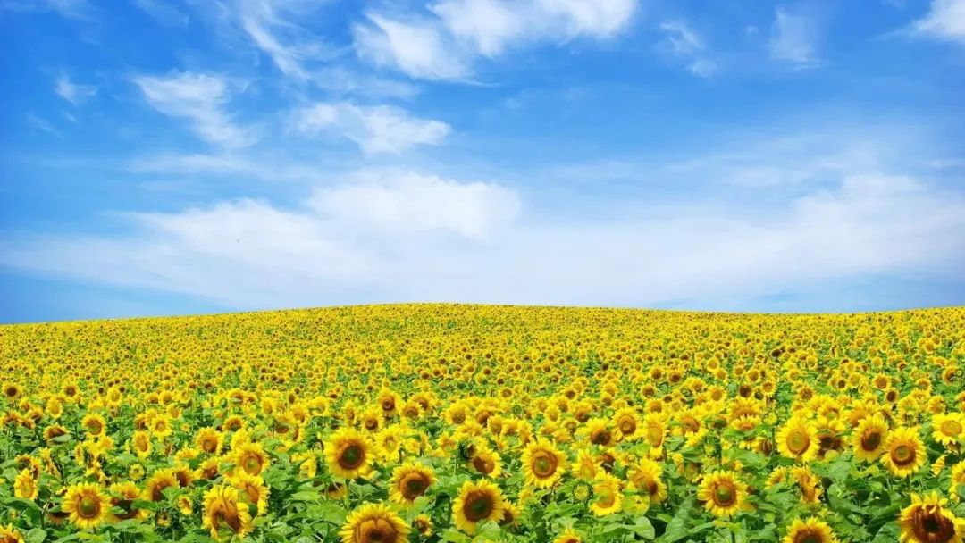 寒假日记打羽毛球400字20篇六年级,寒假日记大全300字三年级寒假趣事