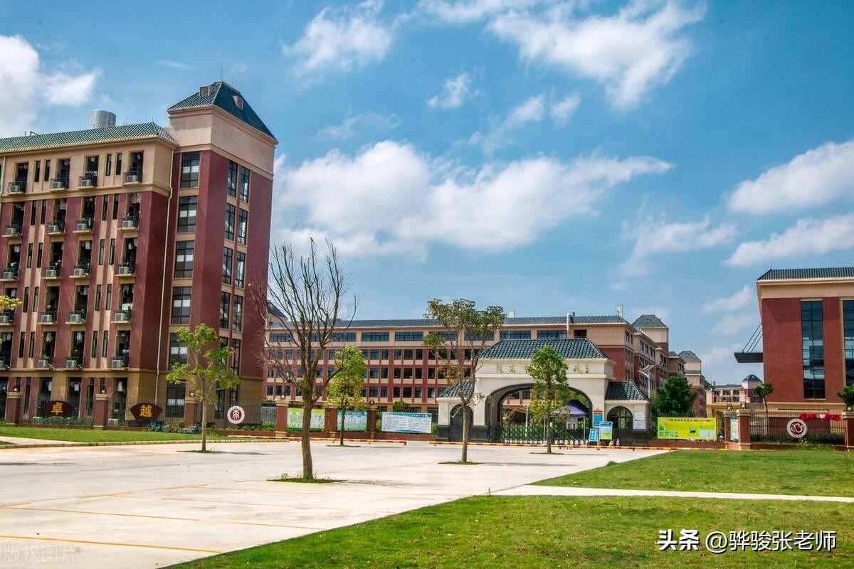 郑州金水前十名重点小学,郑州市金水区小学排名一览表最新