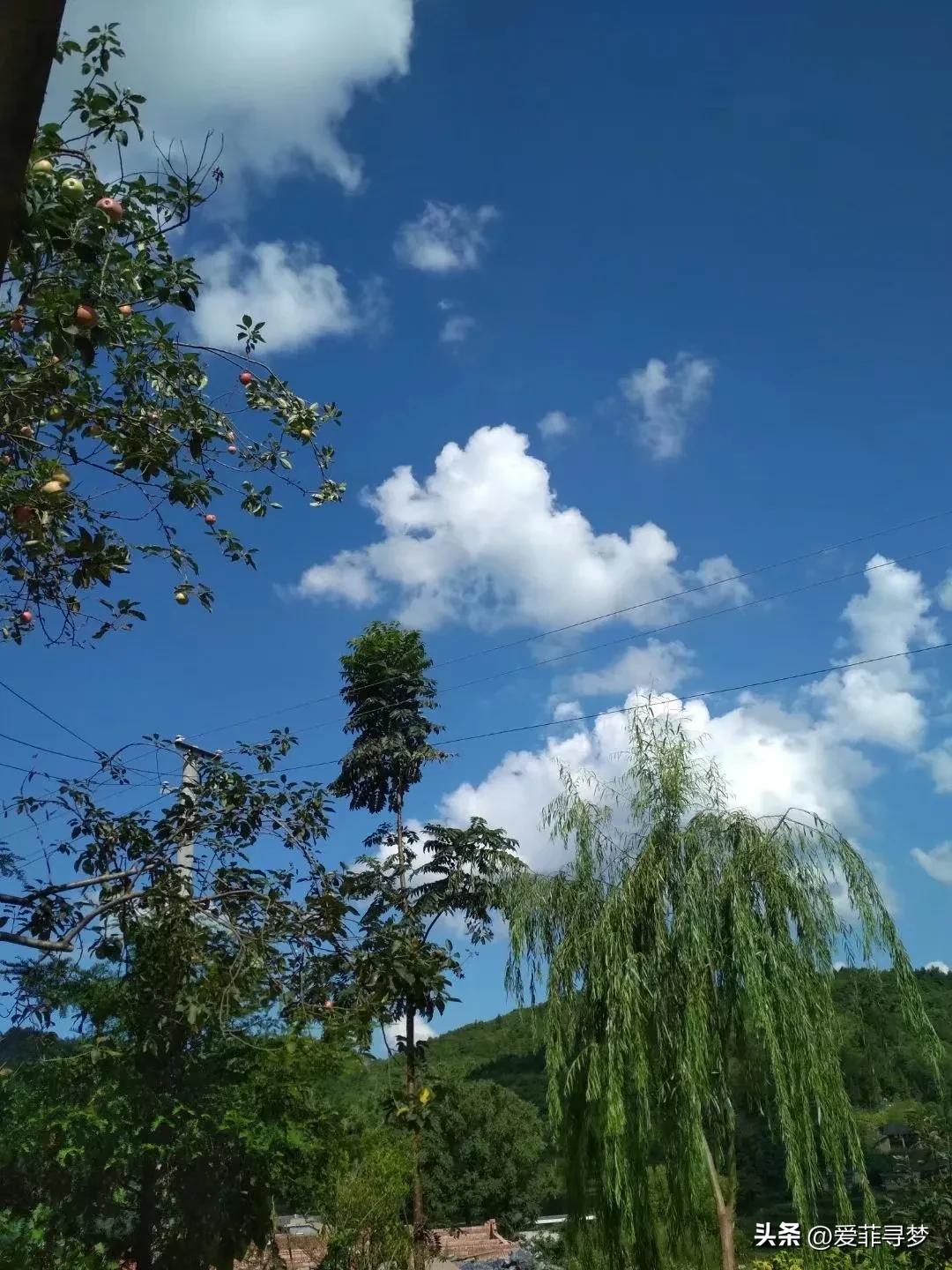 一个女人没有男人能撑起一个家吗,一个男人撑起一个家的心酸句子