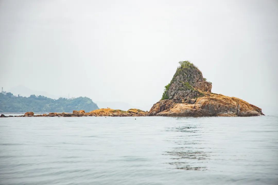 涓栫晫涓婃渶闀跨殑娴锋花鏍堥亾姊呮矙韪忔氮,涓栫晫涓婃渶闀跨殑娴锋花鏍堥亾