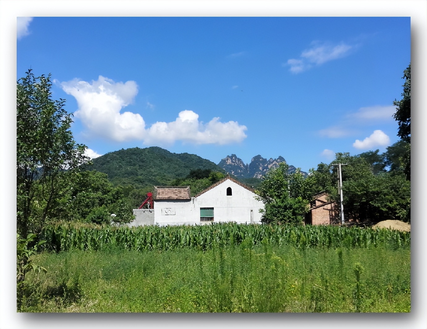 枫丹白露中国,探访中国最北漠河